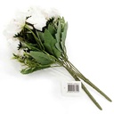 HF0299-1