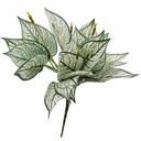 HF0346-2