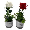 HF0360-1