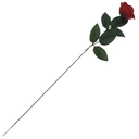 HF0372-1