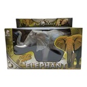 JU8051-1
