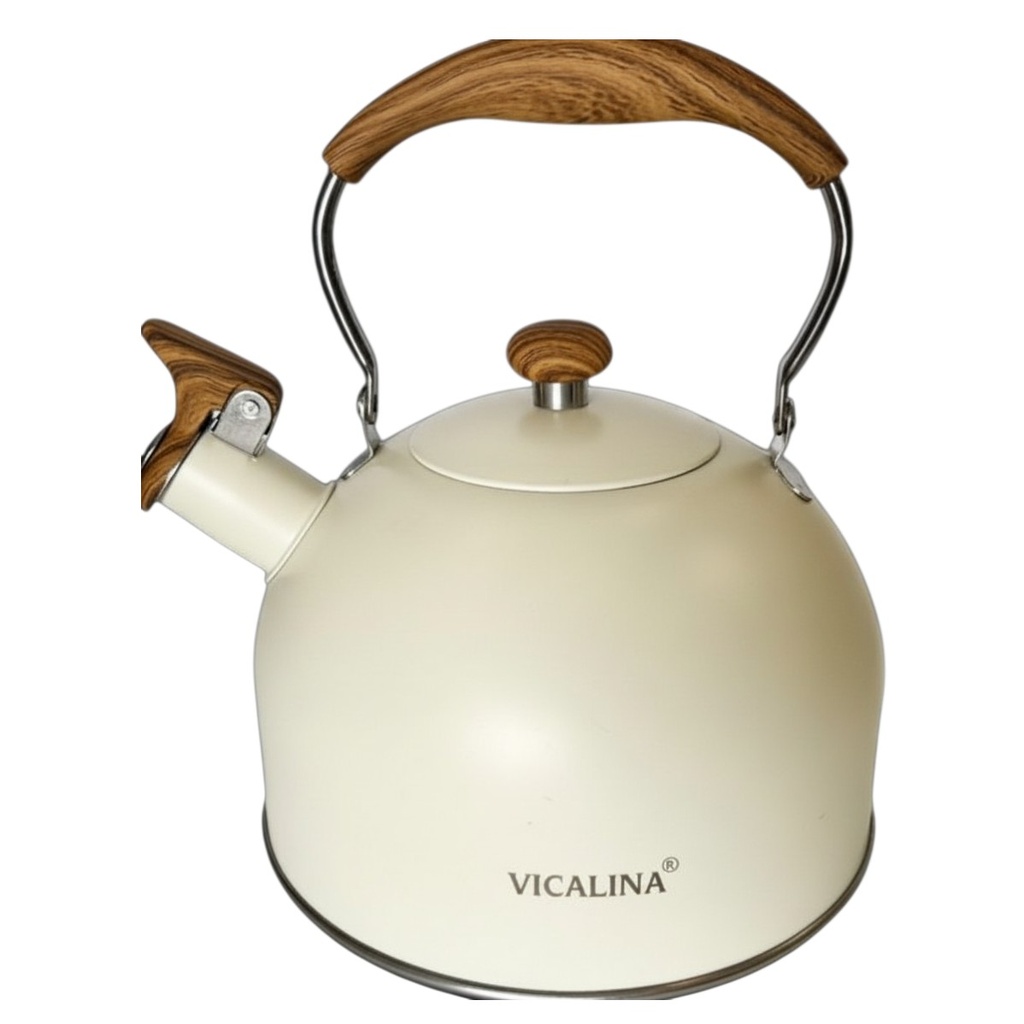 Caldera de acero inoxidable 2.5L, mango de plástico, en caja, varios colores