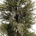 Árbol navideño frondoso ciprés, 241 ramas 90cm, con maceta, en caja