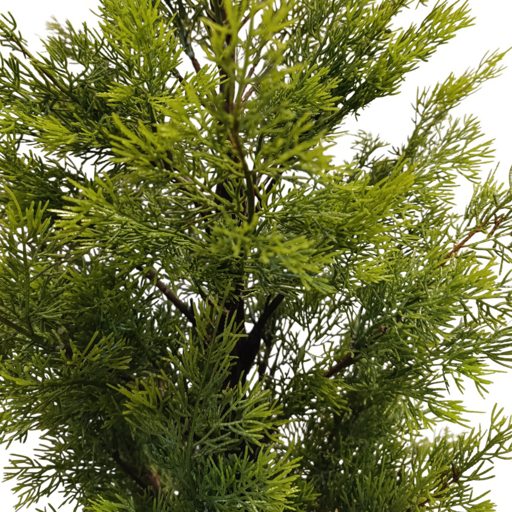 Árbol navideño frondoso ciprés, 168 ramas 90cm, con base de arpillera, en caja