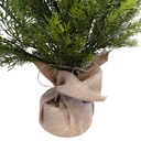 Árbol navideño frondoso ciprés, 168 ramas 90cm, con base de arpillera, en caja