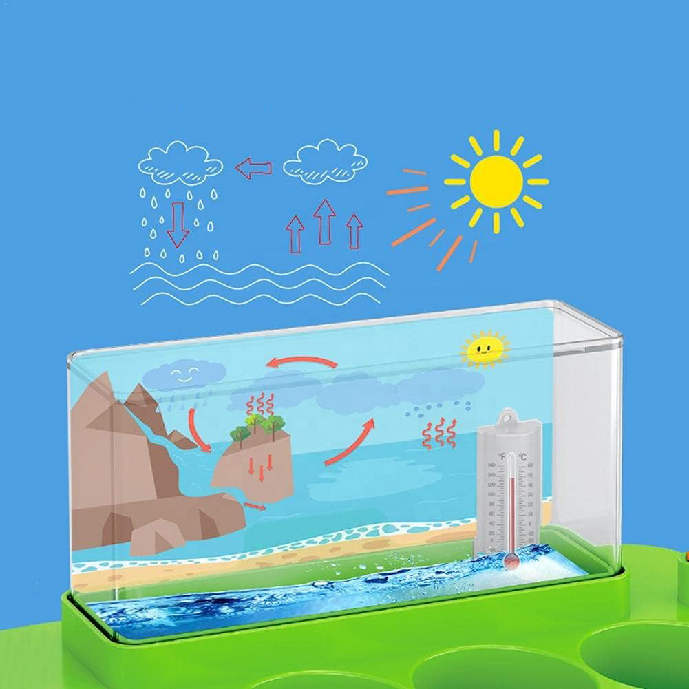 Juego de ciencia estación meteorológica, en caja