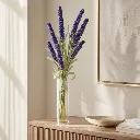 HF0420-2.webp