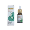 Aceites esenciales 10ml, CAJAx12