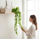 Planta enredadera guía de plástico, PACK x2