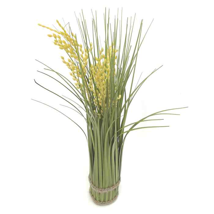 [HF0338] Planta alta espiga de arroz, varios colores