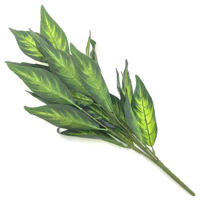 Planta de hojas verdes, difembachia