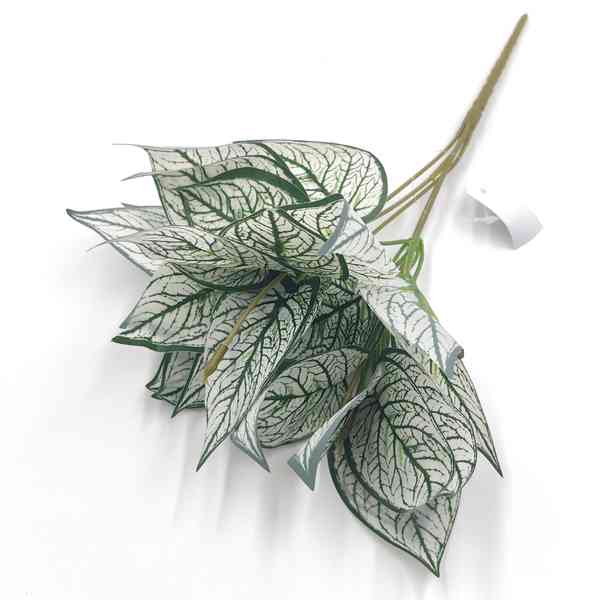 Planta de hojas verdes, escudo persa