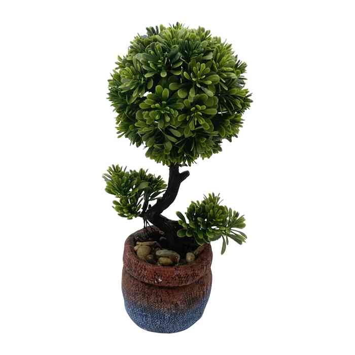 [HF0356] Planta bonsai, en maceta de cemento