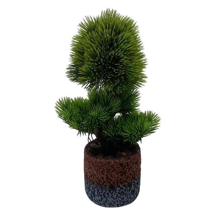 Planta bonsai, en maceta de cemento