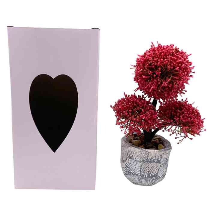 [HF0362] Planta bonsai bayas en maceta, varios colores