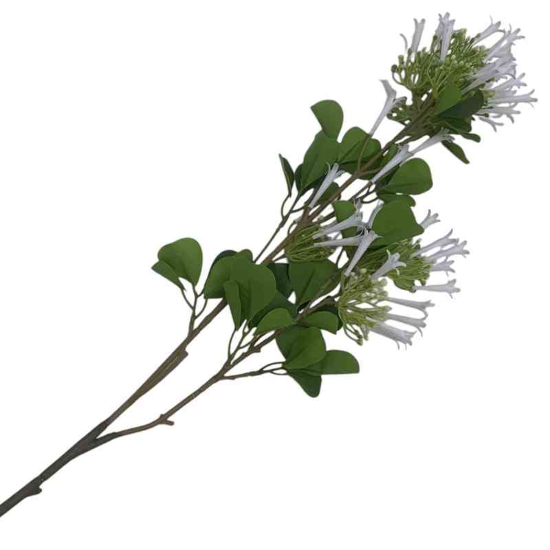 [HF0374] Ramo de flores jazmín de madagascar