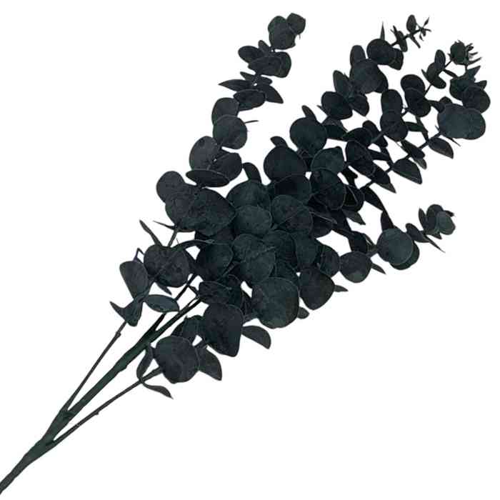 [HF0376] Planta de hojas verdes, eucaliptus, PACK x2
