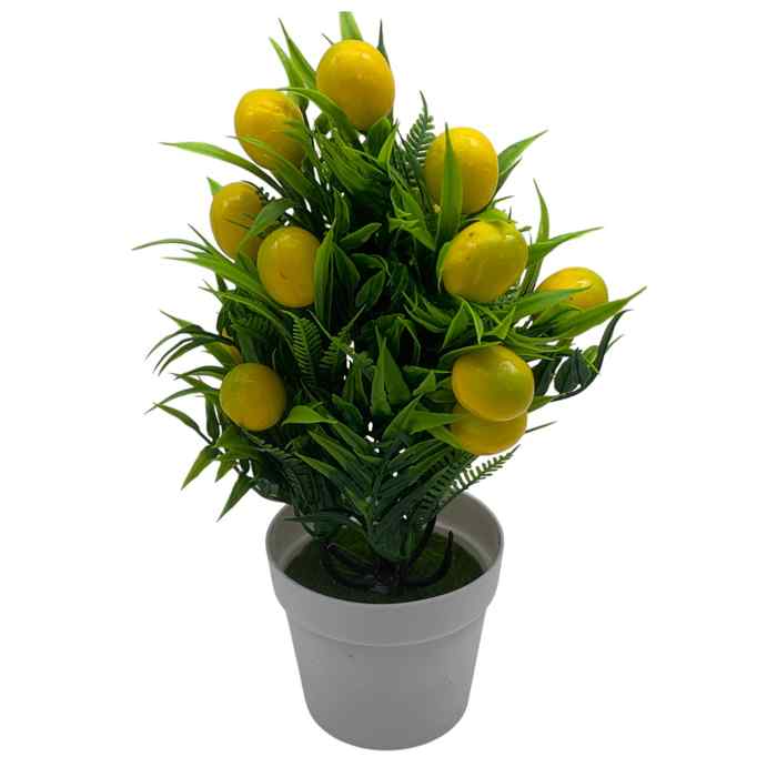 Planta con limones, en maceta plástico