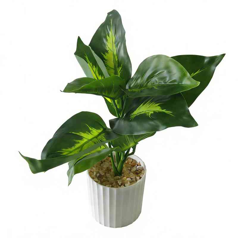 [HF0397] Planta de hojas verdes, palo de agua, en maceta