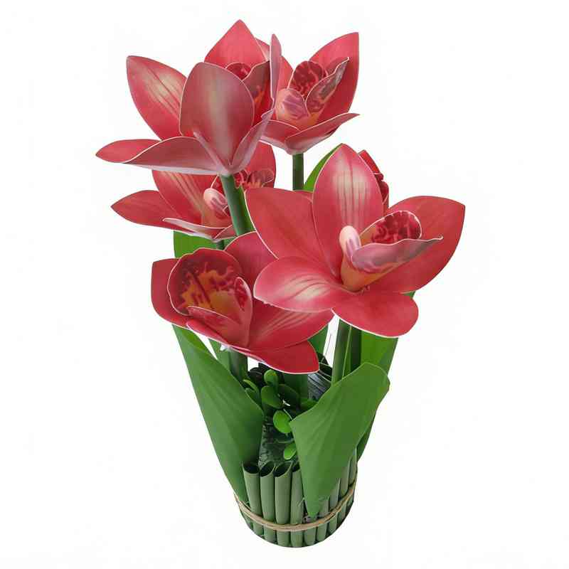 [HF0399] Planta con flores de orquídeas, varios colores