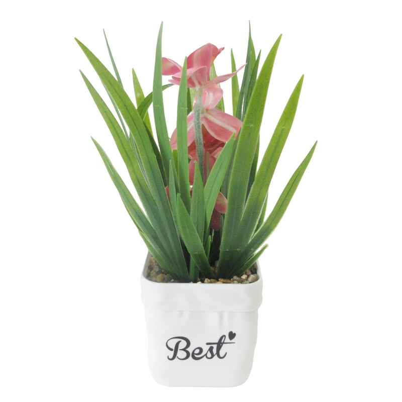 [HF0409] Planta con flores, con maceta, varios colores