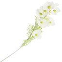 Ramo de 15 amapolas silvestre