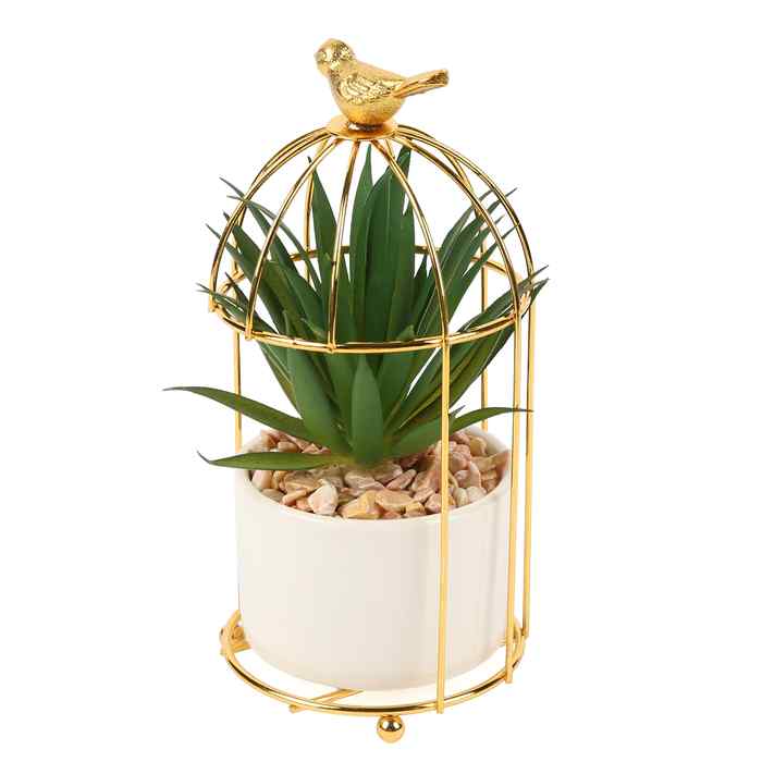 [HF0422] Planta de hojas verdes, en maceta de plástico