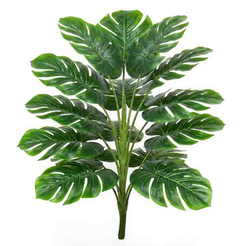 [HF0433] Planta de 18 hojas verdes de monstera