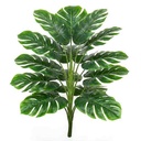 Planta de 18 hojas verdes de monstera