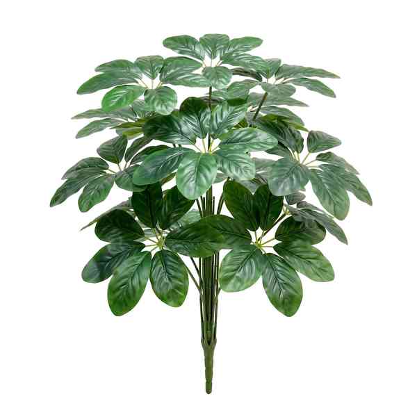 [HF0434] Planta de 18 hojas verdes de Cheflera