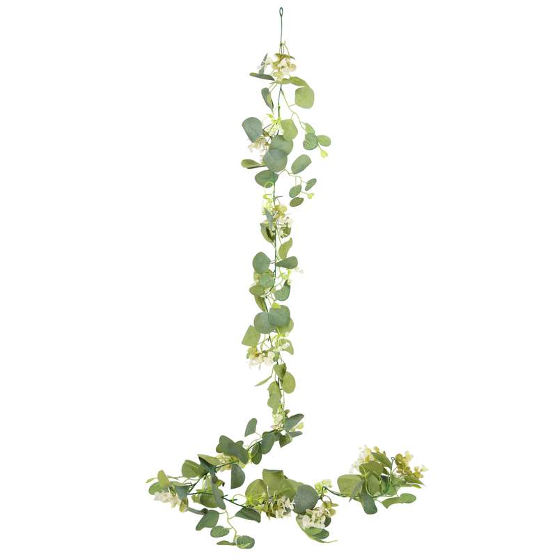 Planta de hojas verdes colgantes con flores blancas