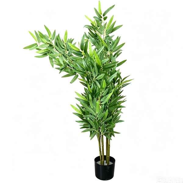 Planta de hojas verdes de bambú, con maceta