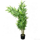 Planta de hojas verdes de bambú, con maceta