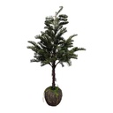 Árbol navideño frondoso abeto tejo inglés, 80cm, con maceta