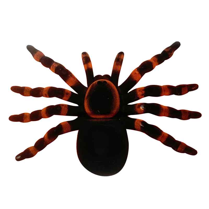 [JH1069] Animales araña de plástico en cartón