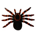 Animales araña de plástico en cartón