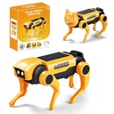 Robot para armar, energía solar, cabeza intercambiable, 2AAA, en caja
