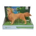 Animales de goma perro golden, en caja