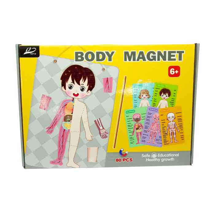 [JU6580] Puzzle magnético, 80 piezas, cuerpo humano, en caja