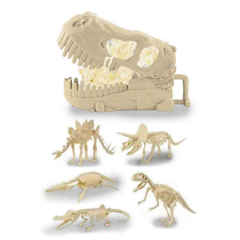 Dinosaurio fósiles, valija cráneo, en caja 2 colores