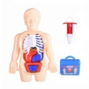 Set de doctor, muñeco educativo cuerpo humano con órganos removibles