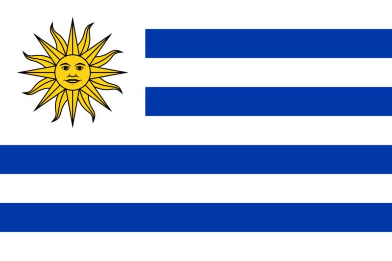 Bandera común 60x90cm, URUGUAY