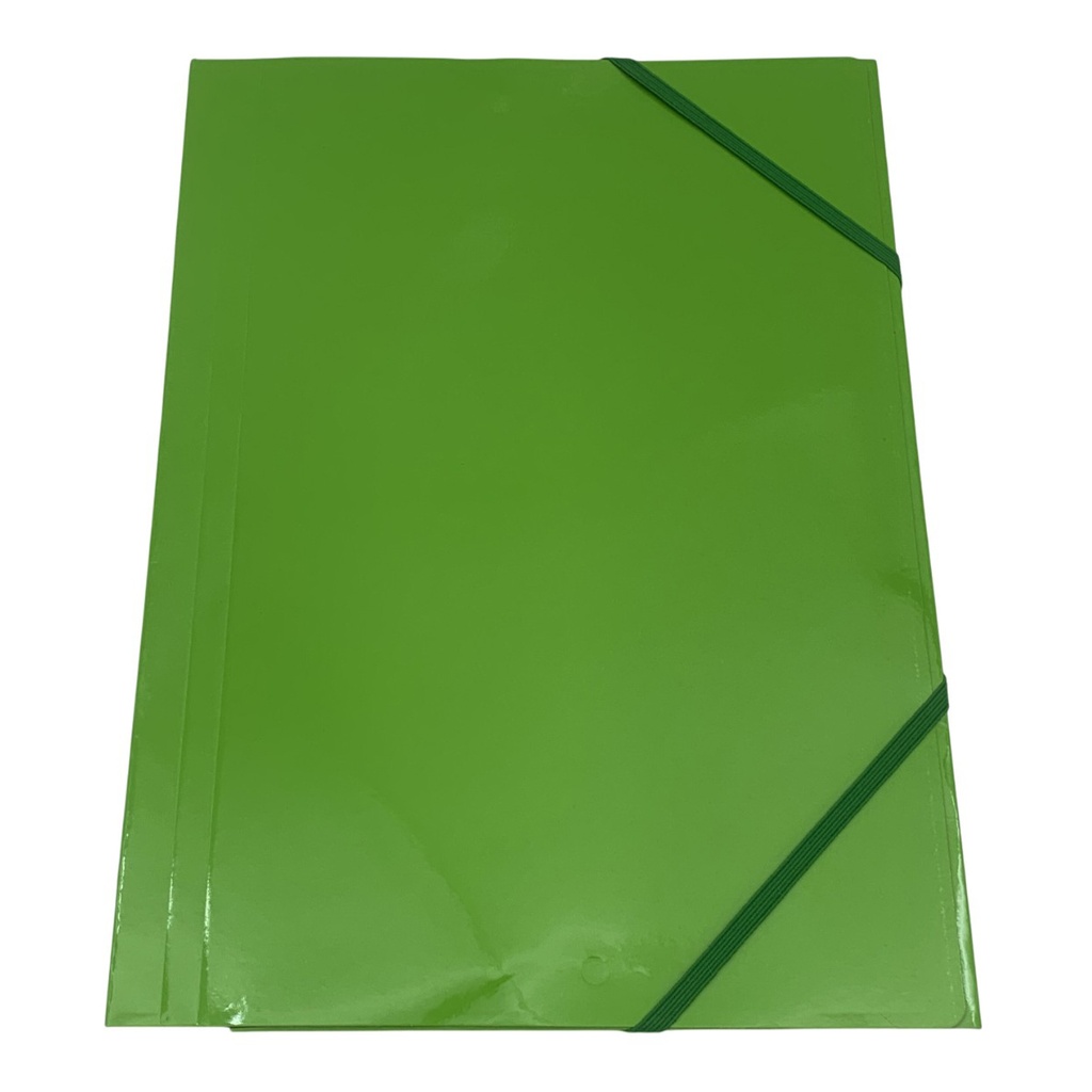 Carpeta A4 de cartón con elástico, PACK x12, varios colores