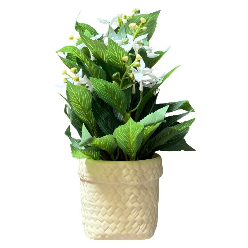 [HF0447] Planta con flores, en maceta de plástico