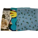 Pañuelo estampado PACK x10, varios diseños