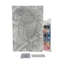 Cuadro para colorear por números, con acuarelas, 2 pinceles, diseño loro en caja
