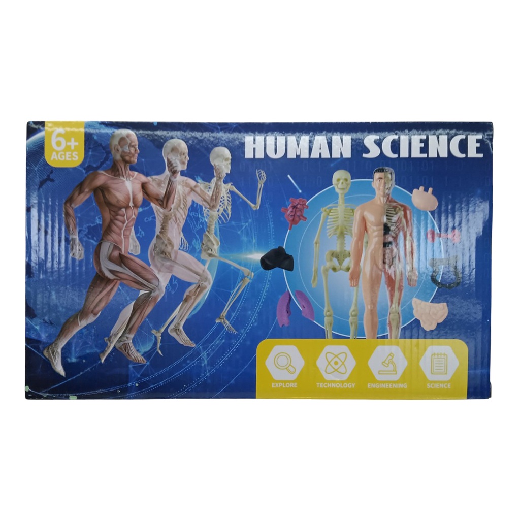 Juego de ciencia cuerpo humano, en caja